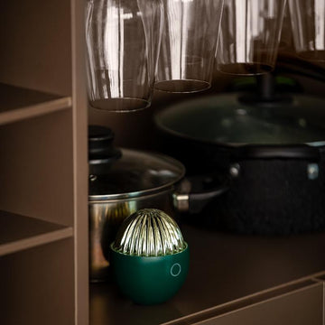 Ozone Odor Eliminator Egg in Green on Kitchen Shelf- Multitasky