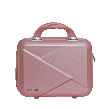 Mini suitcase best sale bag