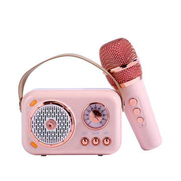 Buy wholesale Children's karaoke kit with 2 microphones and