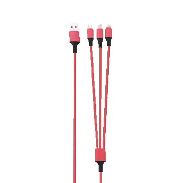 Rainbow 3-Port Long Charging Cable - Multitasky